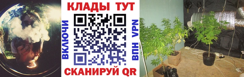 Купить наркоту Лесной Кокаин  Марихуана  Alpha-PVP  Гашиш  Псилоцибиновые грибы  Меф мяу мяу 
