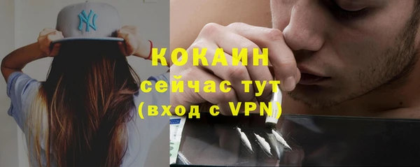 спайс Алексин
