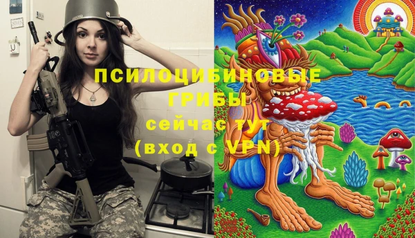 спайс Алексин